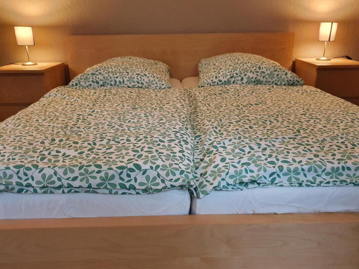 Grosse Ferienwohnung An Der Rheinpromenade Three ドゥイスブルグ エクステリア 写真